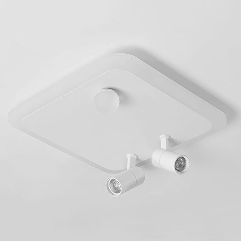 Dimmable Flush Mount LED Spotlight Panel with Adjustable Heads