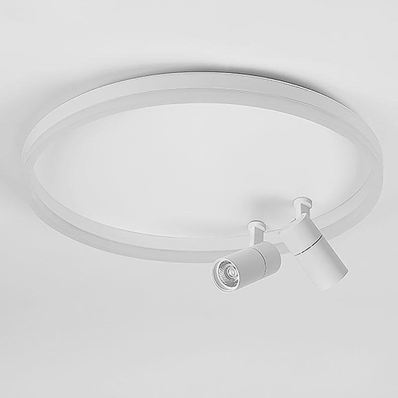 16" Dimmable Flush Mount Light with Adjustable Spotlights