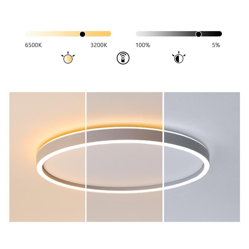 Modern Halo Flush Mount LED Ceiling Light with Remote Dimming