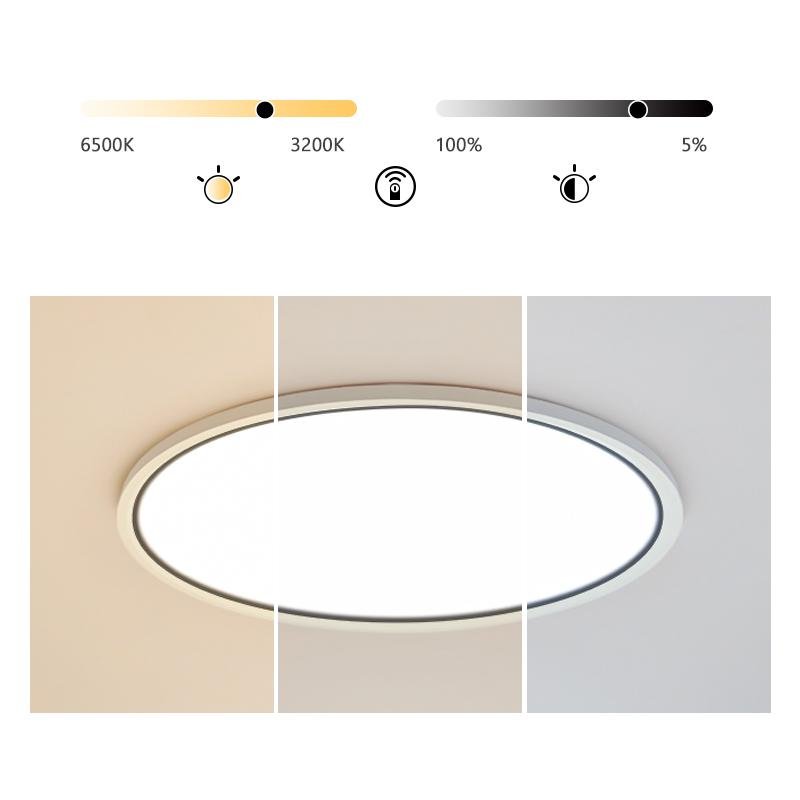 Modern Round Dimmable Flush Mount LED Ceiling Light