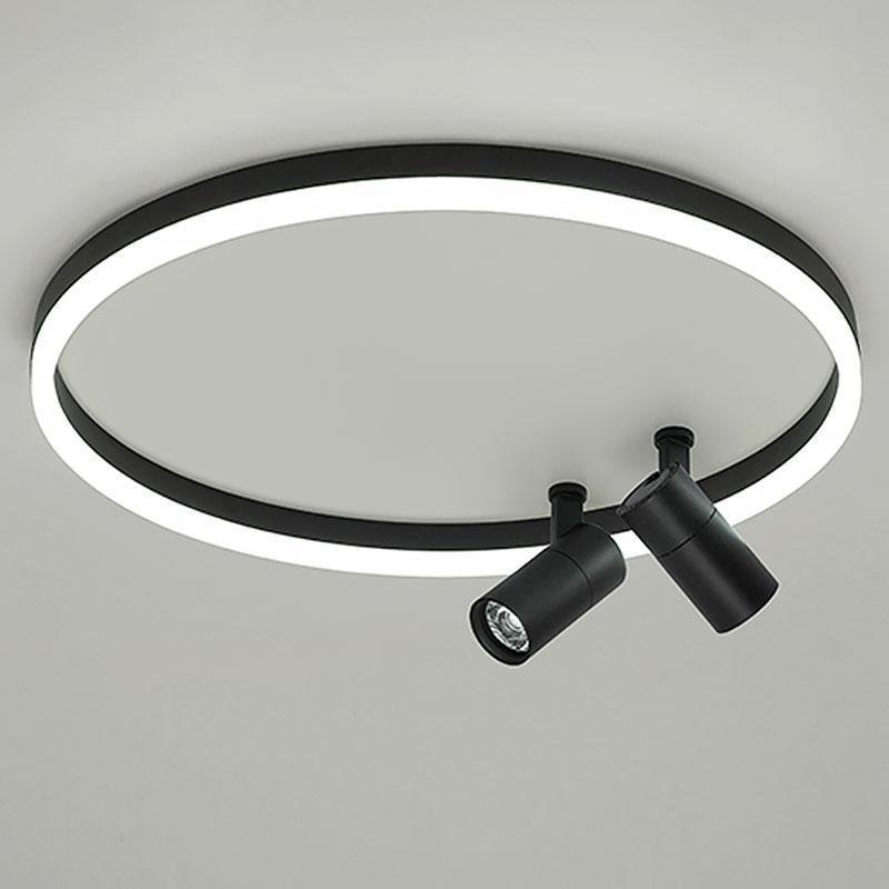 16" Dimmable Flush Mount Light with Adjustable Spotlights
