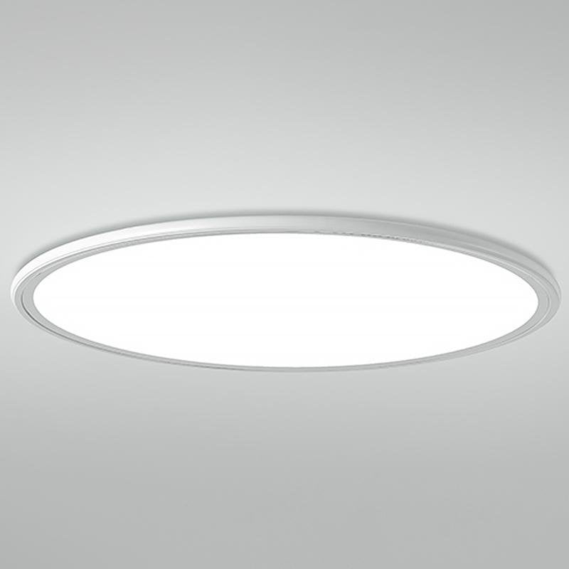 30" Round Ultra-Thin LED Flush Mount Ceiling Light - Modern Minimalist