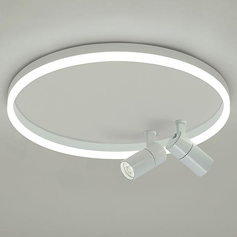 16" Dimmable Flush Mount Light with Adjustable Spotlights
