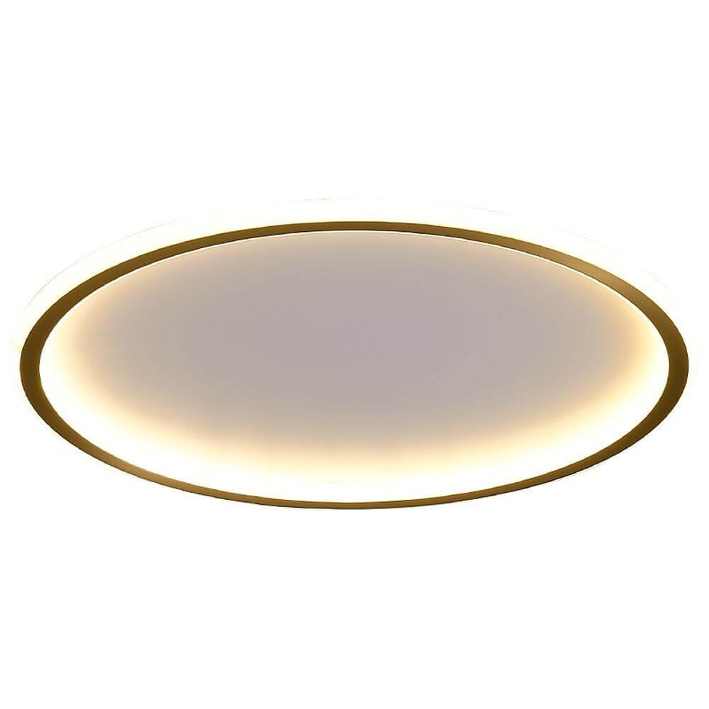 Modern Circle LED Flush Mount Ceiling Light - Minimalist Design