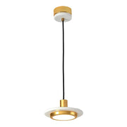 Industrial Modern Metal Pendant Light with Acrylic Shade