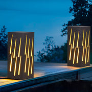 LED Pathway Light with Meteor Effect Industrial Outdoor Lighting