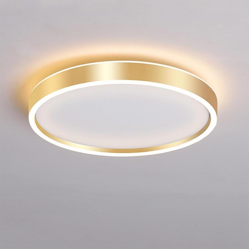 Modern Circular Metal Flush Mount LED Ceiling Light