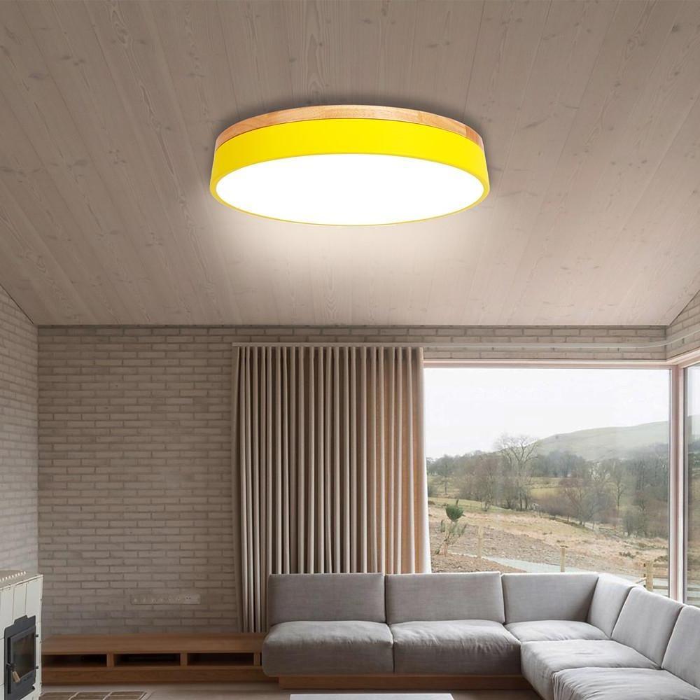 12" Modern LED Flush Mount Ceiling Light - Metal & PVC