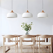 Modern Dome Pendant Light with Wood Detail - 1-Light Fixture
