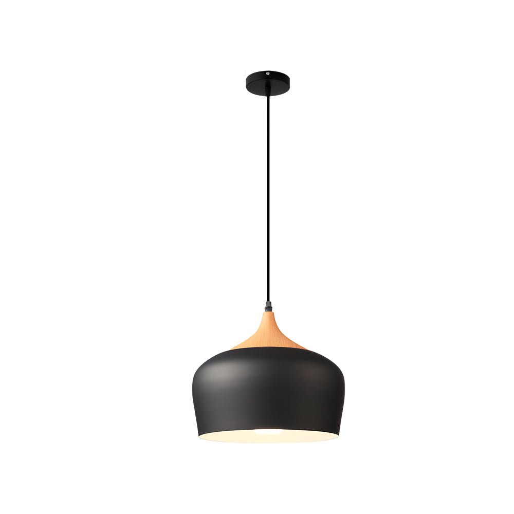Modern Dome Pendant Light with Wood Detail - 1-Light Fixture