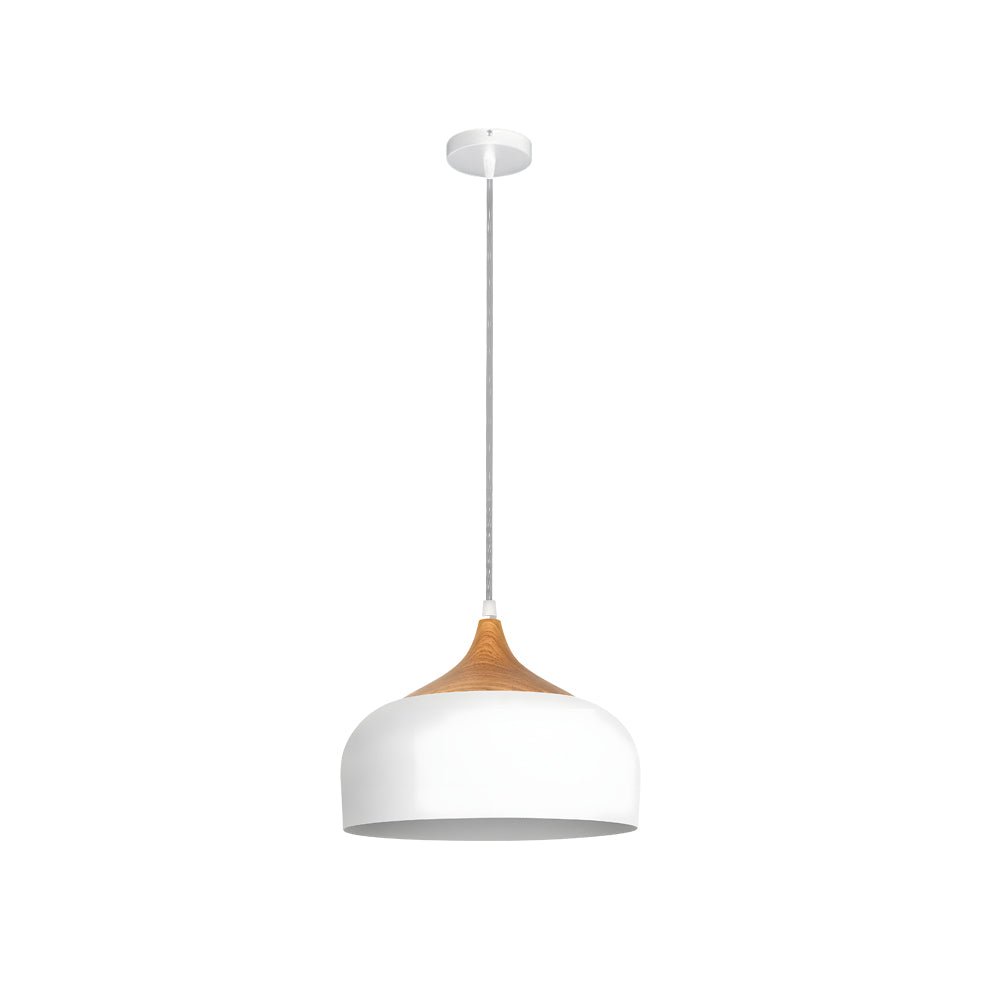 Modern Dome Pendant Light with Wood Detail - 1-Light Fixture