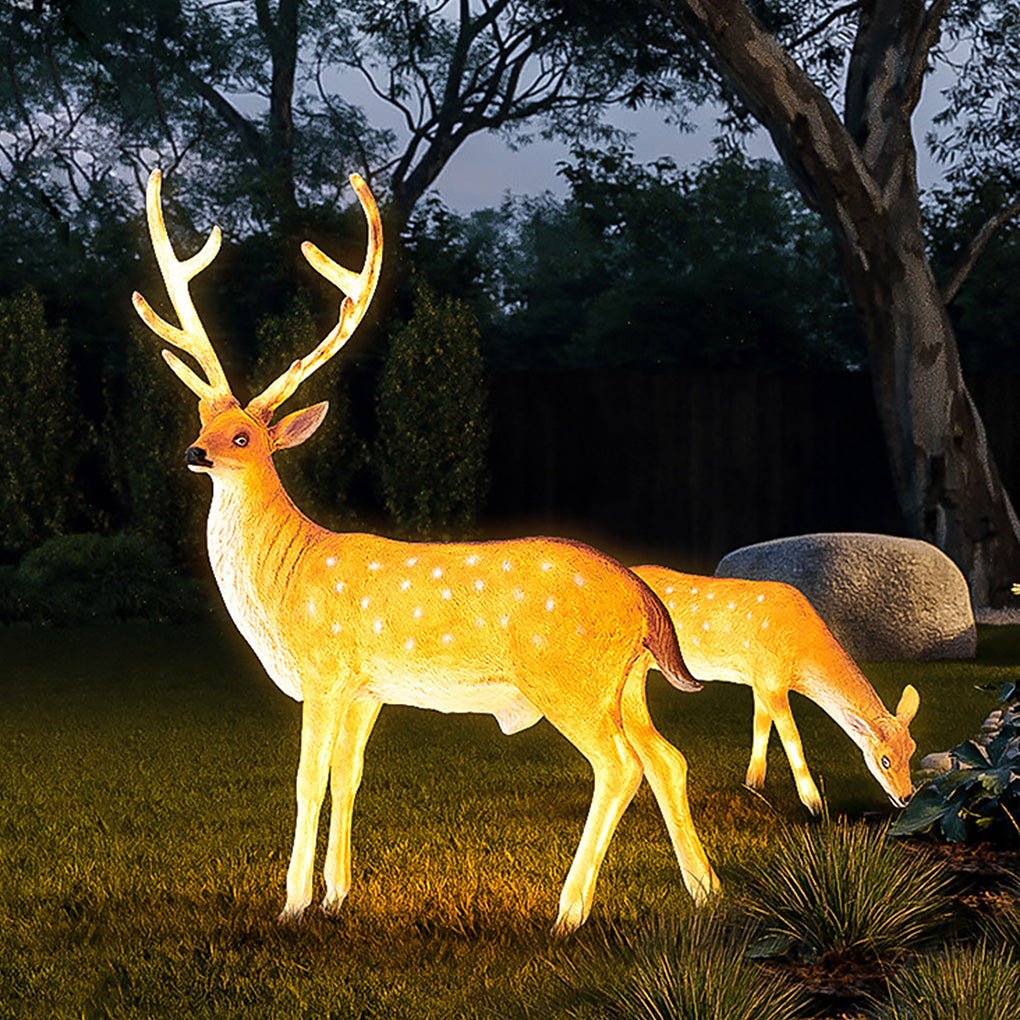 Animal Lights