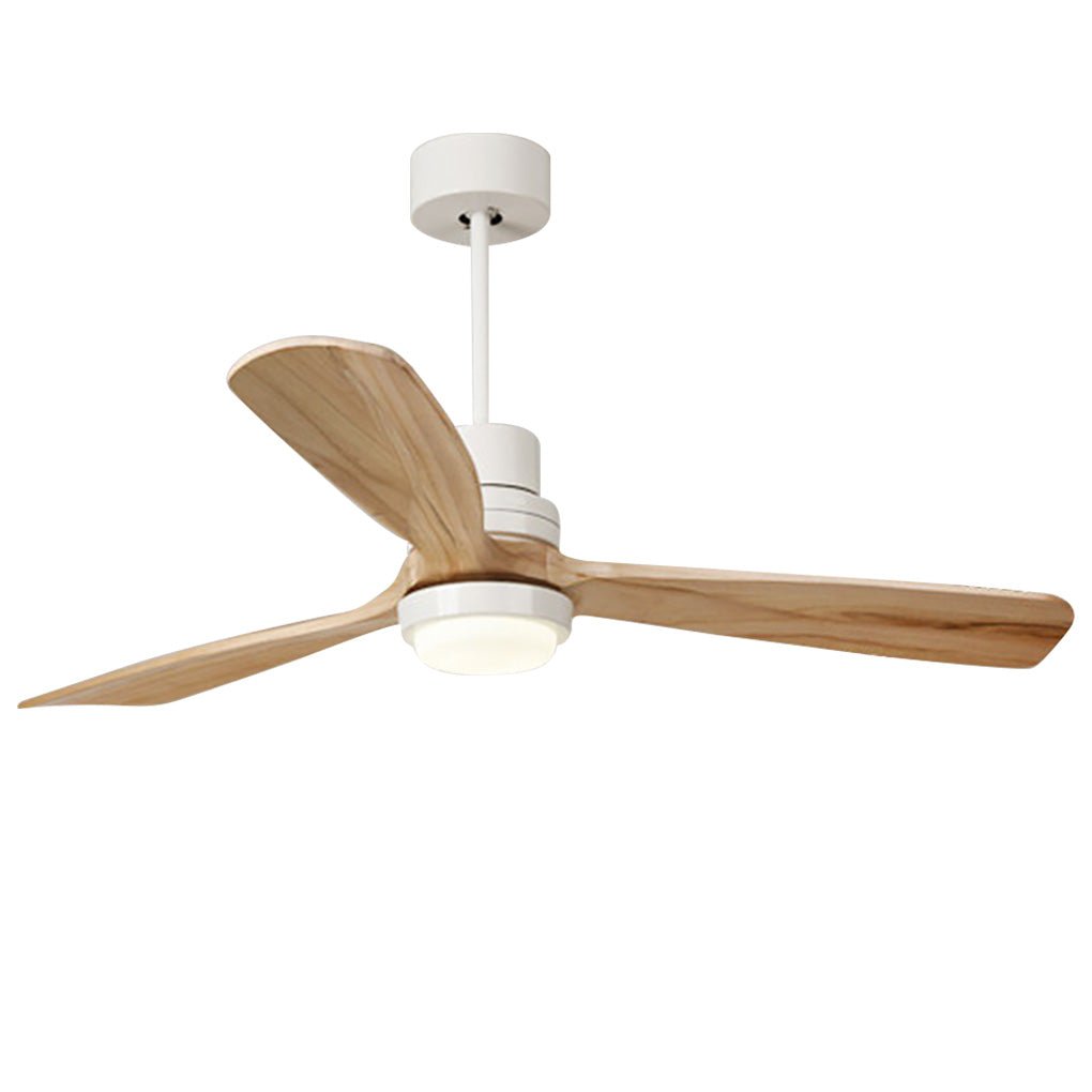 Modern LED Ceiling Fan Light with Remote Control