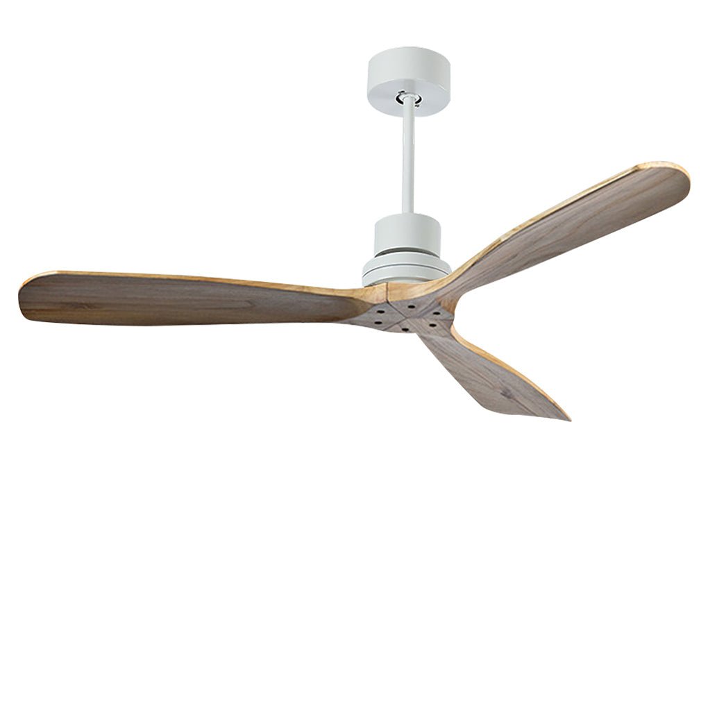 Modern LED Ceiling Fan Light with Remote Control