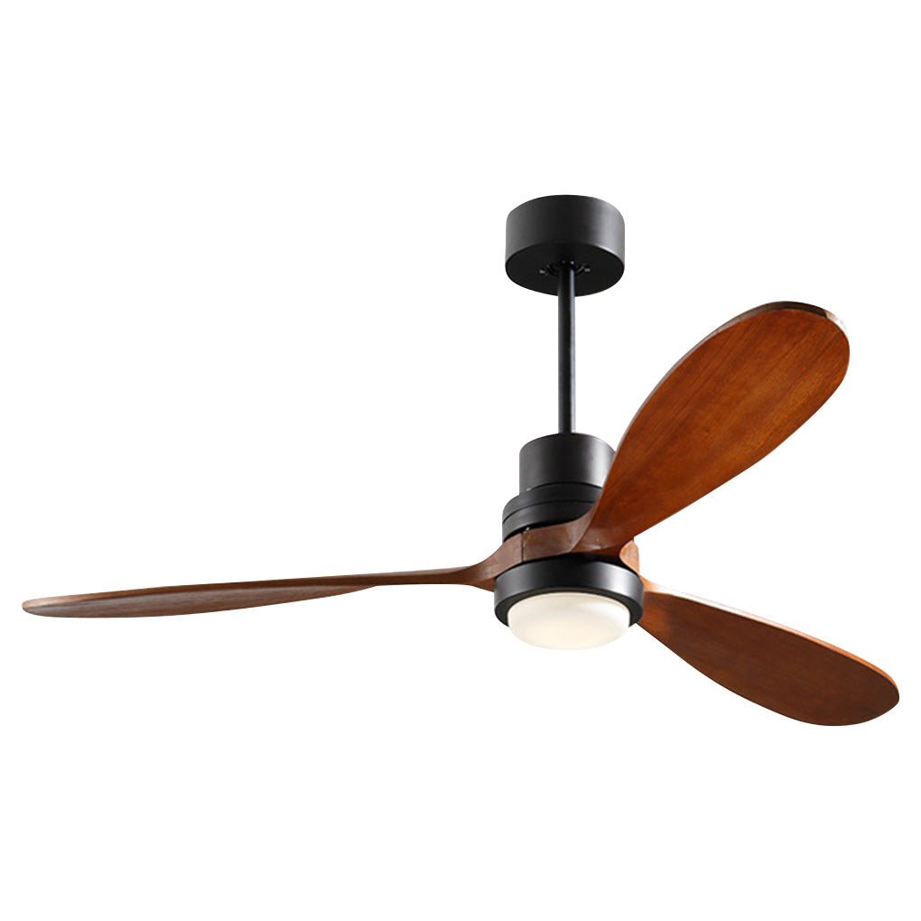Modern LED Ceiling Fan Light with Remote Control