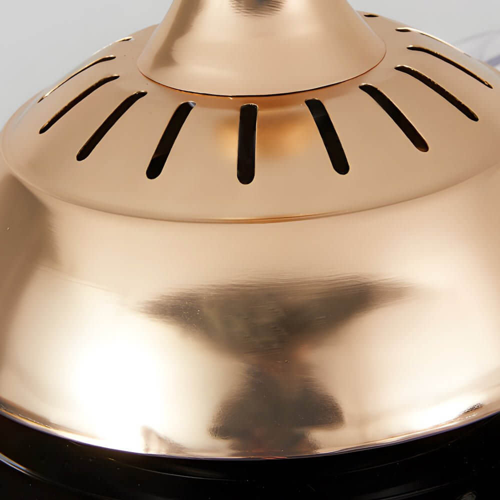 Retractable LED Ceiling Fan Chandelier with Remote Control