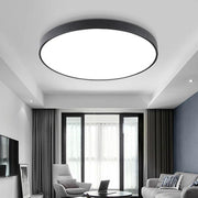 Modern Dimmable LED Flush Mount Light - Matte Painted Plastic