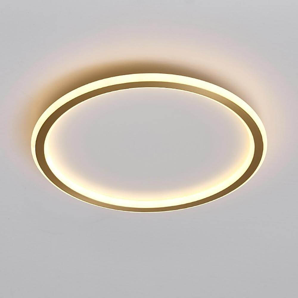 Modern Circle LED Flush Mount Ceiling Light - Minimalist Design