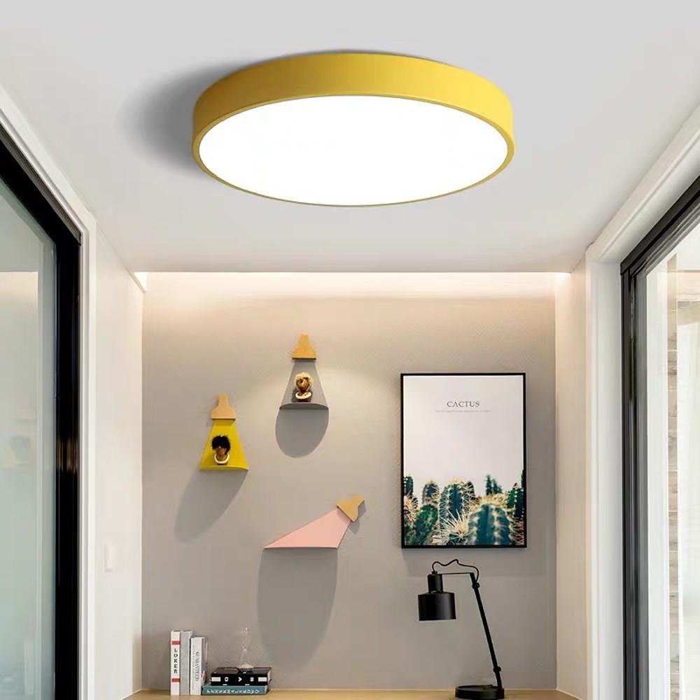 Modern Dimmable LED Flush Mount Light - Matte Painted Plastic