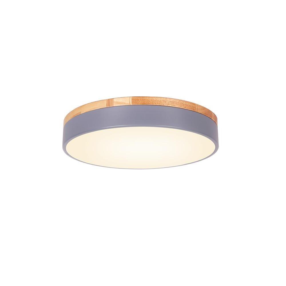12" Modern LED Flush Mount Ceiling Light - Metal & PVC