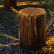 Resin Tree Stump Outdoor LED Lamp Rustic Garden Landscape Light