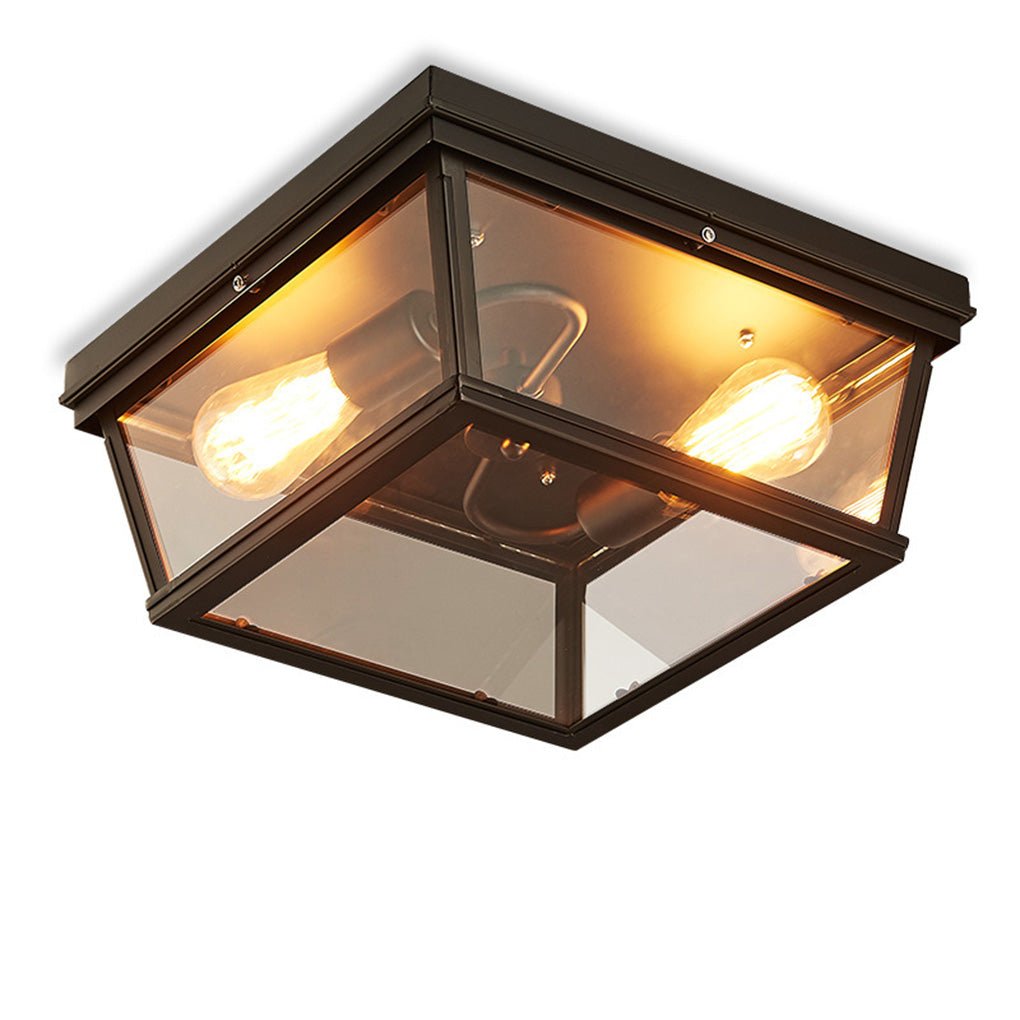Industrial Double-Head Ceiling Light with Glass Shade - LED Flush