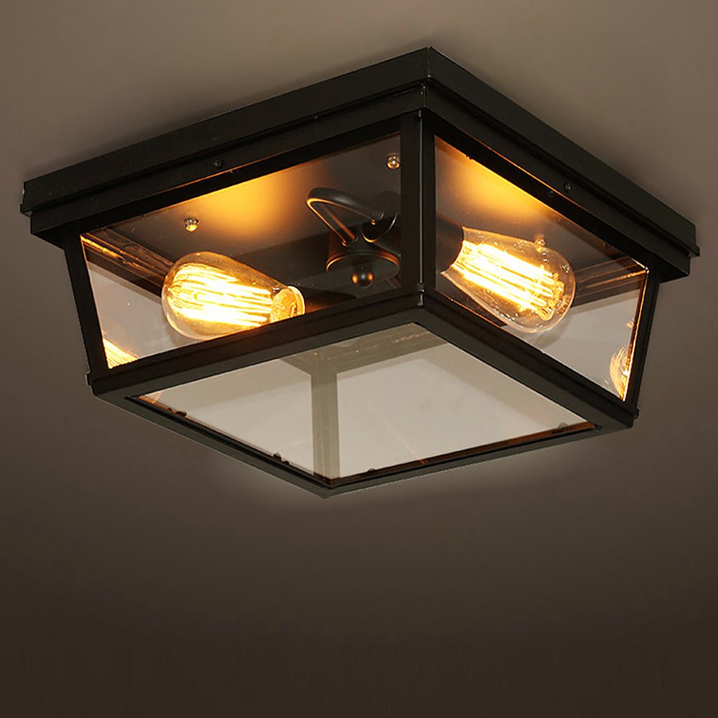 Industrial Double-Head Ceiling Light with Glass Shade - LED Flush