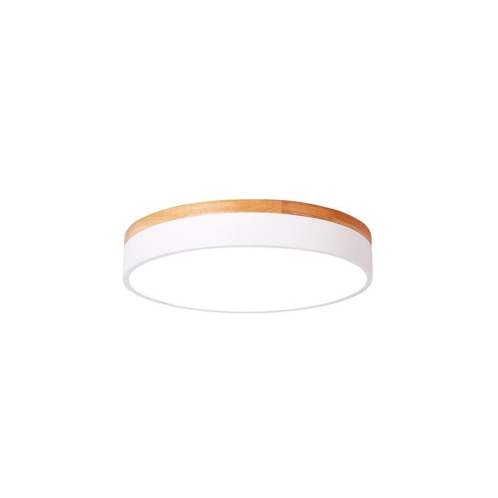 12" Modern LED Flush Mount Ceiling Light - Metal & PVC