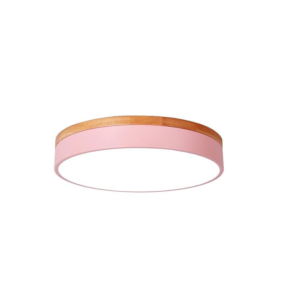 12" Modern LED Flush Mount Ceiling Light - Metal & PVC