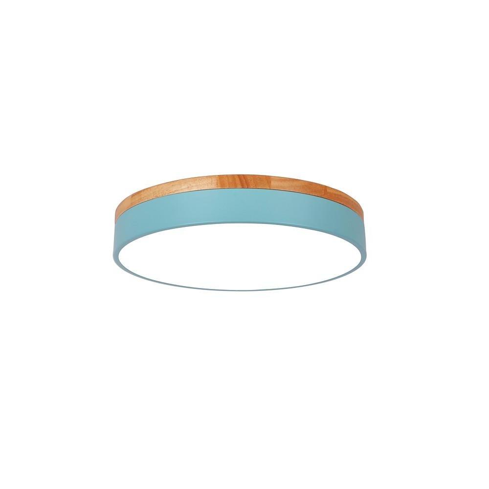 12" Modern LED Flush Mount Ceiling Light - Metal & PVC