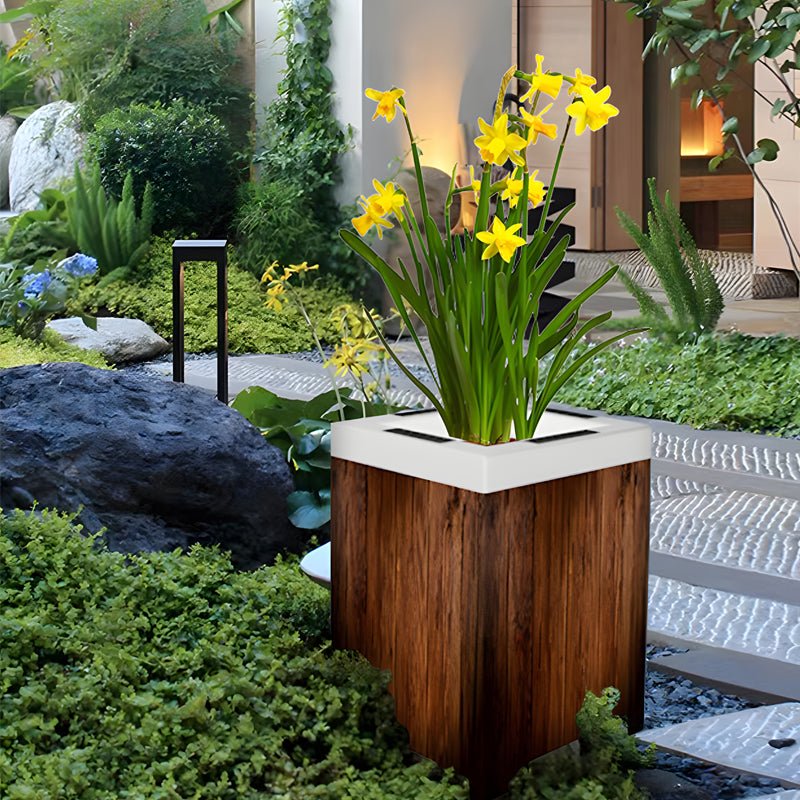 Square Solar Illuminated Planter with LED RGB Light - Outdoor