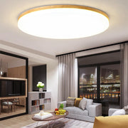 Dimmable LED Flush Mount Ceiling Light – Modern Minimalist Design