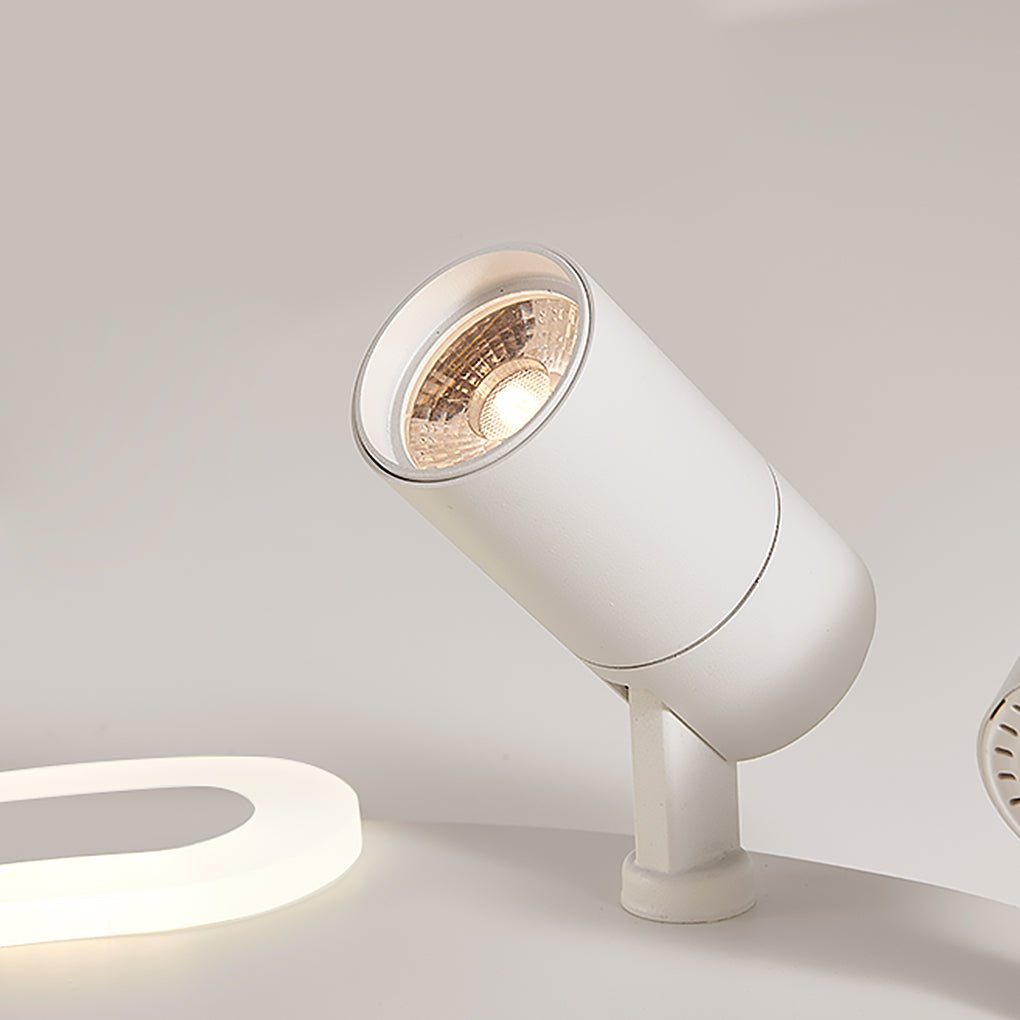 White Arc Flush Mount Light with Adjustable Spotlight
