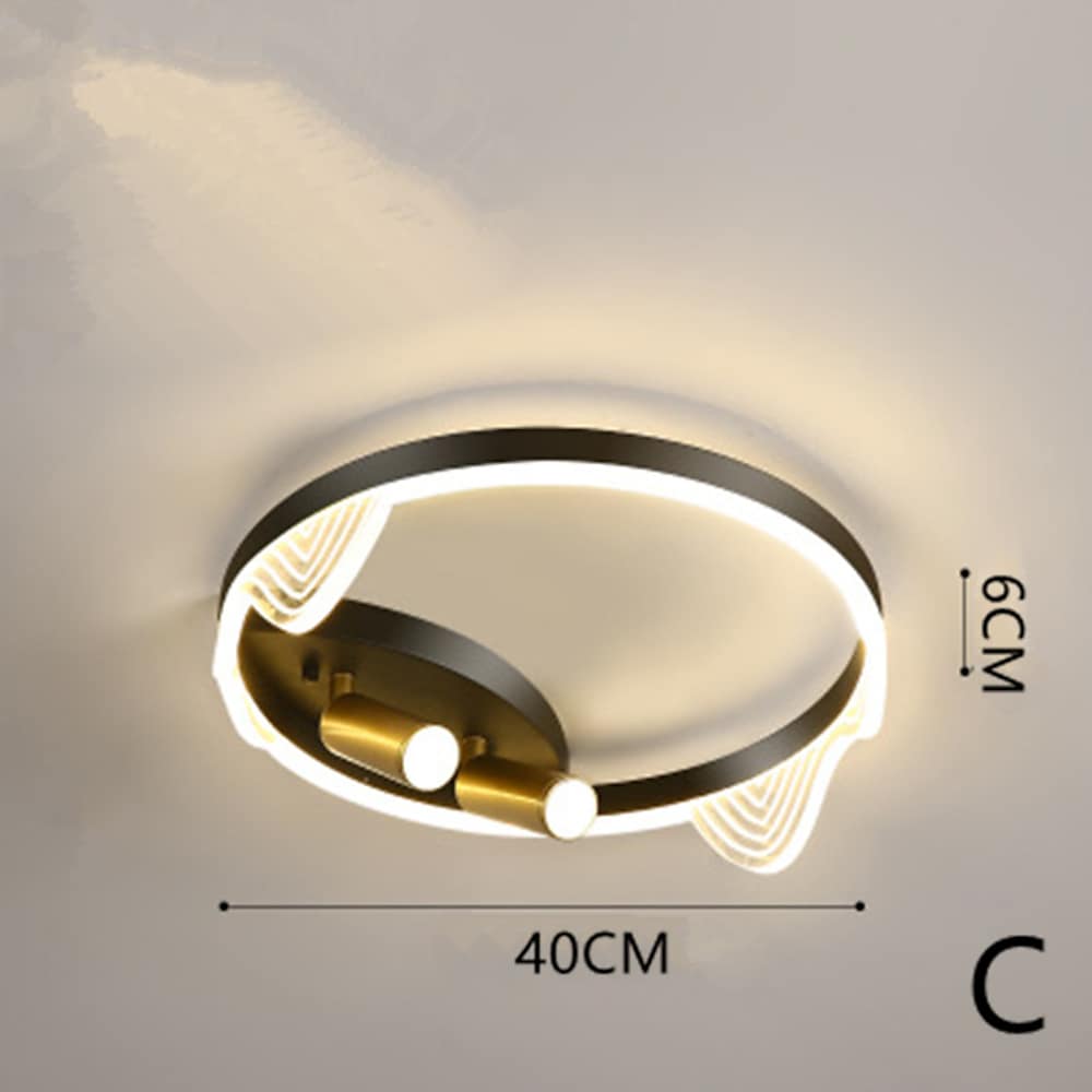 Modern Black Circle LED Flush Mount Ceiling Light with Spotlight